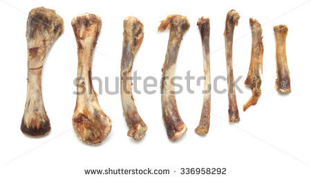 Mutton Soup Bone